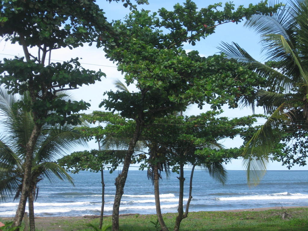 Cabinas Miss Miriam 2 Tortuguero Exterior photo